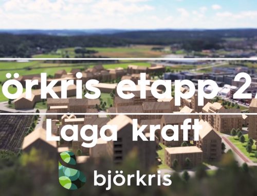 Informationsfilm om Björkris II
