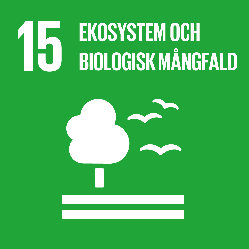 15_ekosystem-logo-1000px